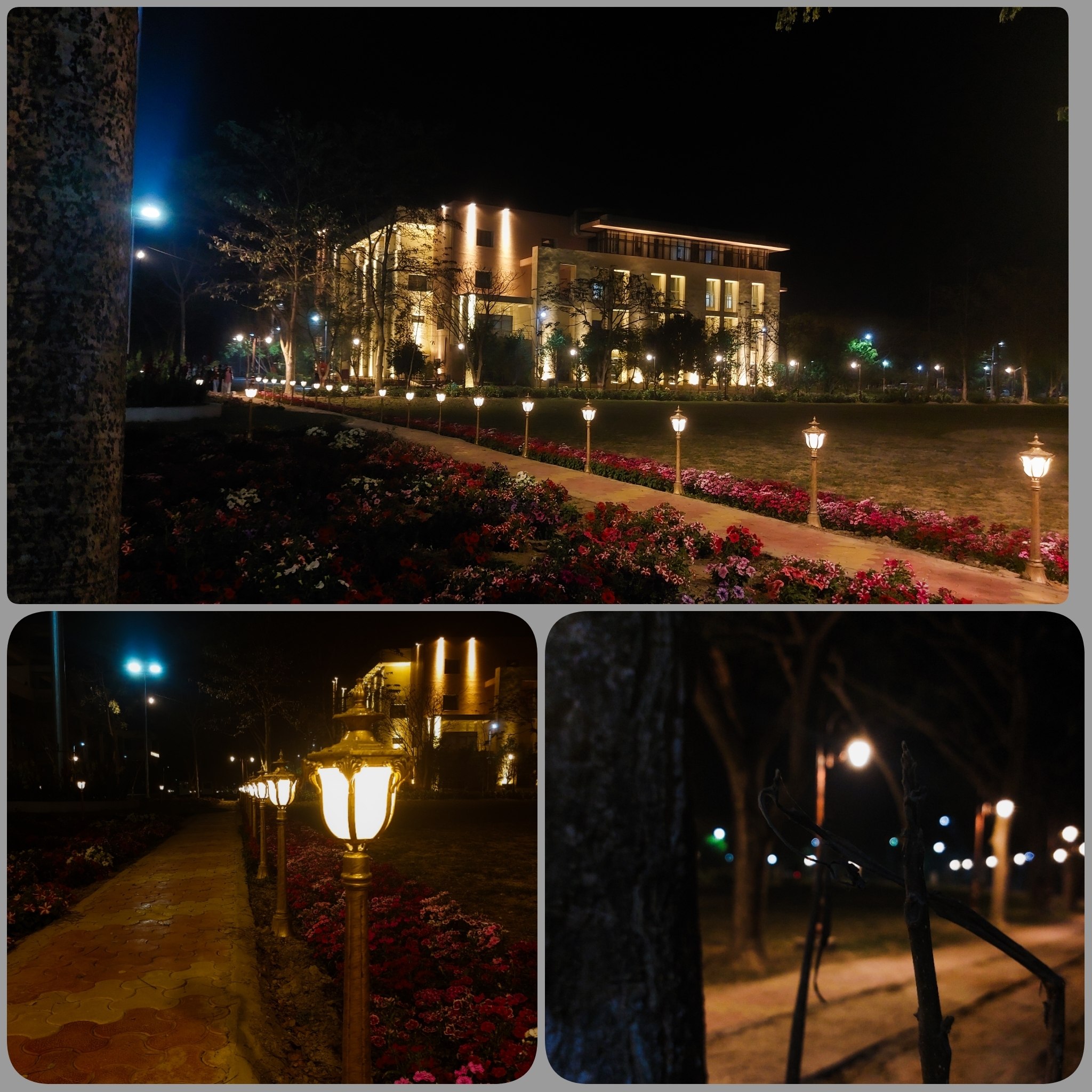 Night Campus!